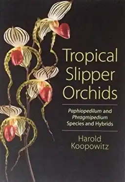 Tropical Slipper Orchids: "Paphiopedilum" & "Phragmipedium" Species & Hybrids