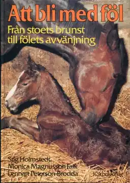 Att bli med föl : från stoets brunst till fölets avvänjning