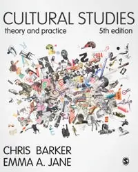 Cultural studies : theory and practice