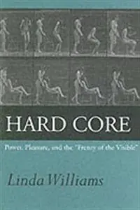 Hard core : power, pleasure, and the "frenzy of the visible"