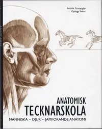 Anatomisk tecknarskola : människa, djur, jämförande anatomi