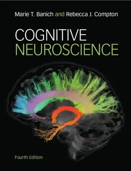 Cognitive neuroscience
