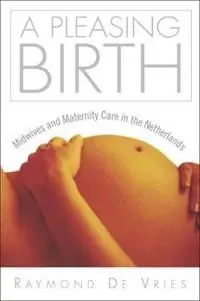 A pleasing birth : midwives and maternity care in the Netherlands