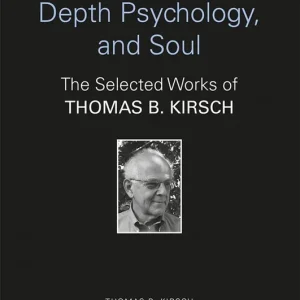 Jungian Analysis, Depth Psychology, and Soul - Begagnad bok
