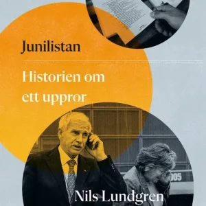 Junilistan : Historien om ett uppror