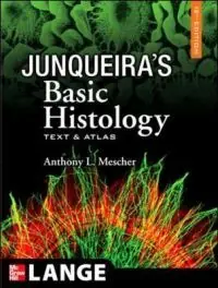 Junqueira's Basic Histology - Begagnad bok