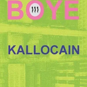 Kallocain - Begagnad bok