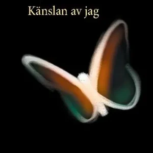 Känslan av jag
