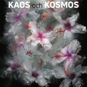 Kaos och kosmos
