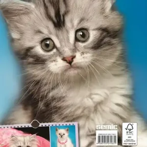 risnedsättning Kattkalender 2024