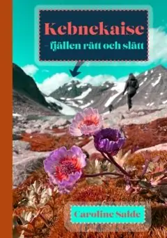 Kebnekaise - fjällen rätt och slätt