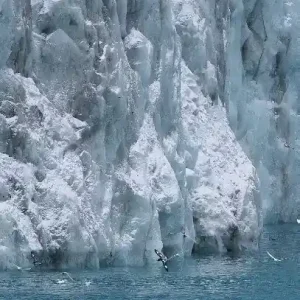 Klimatet : vad handlar det egentligen om?