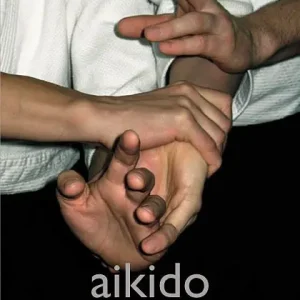 Aikido : den fredliga kampkonsten