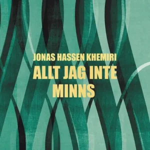 Allt jag inte minns