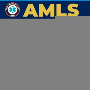 AMLS: Advanced Medical Life Support