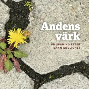 Andens värk