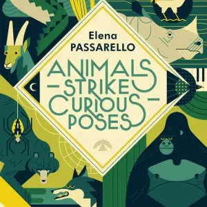 Animals Strike Curious Poses