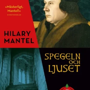 Spegeln och ljuset - Begagnad bok