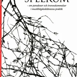 Spelrum : om paradoxer och överenskommelser i musikhögskolelärarens praktik