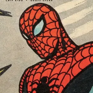 Spider-Man: Panel by Panel