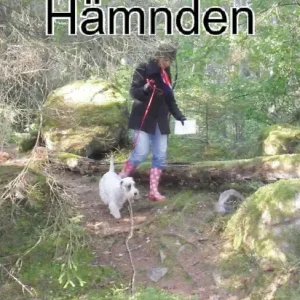 Hämnden