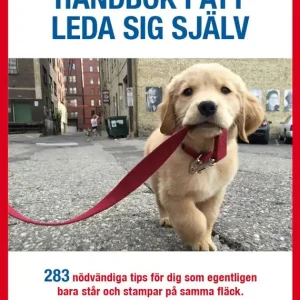 Handbok i att leda sig själv