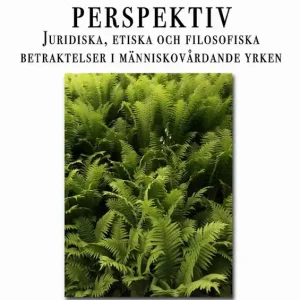 Handledningens perspektiv : juridiska, etiska och filosofiska betraktelser i människovårdande yrken