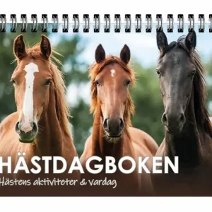 risnedsättning Hästdagboken : hästens aktiviteter & vardag