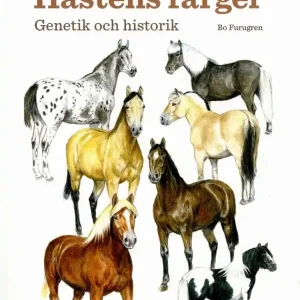 Hästens färger