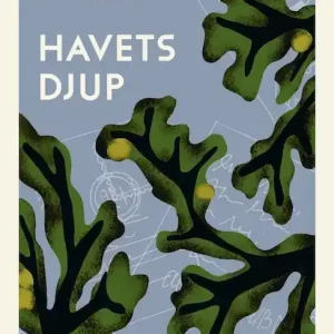 Havets djup (lättläst)